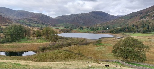 elterwater-circuit-little-langdale-tarn.jpg